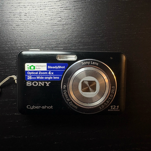 소니 사이버샷 Sony Cyber-shot DSC-W310 단품 이미지