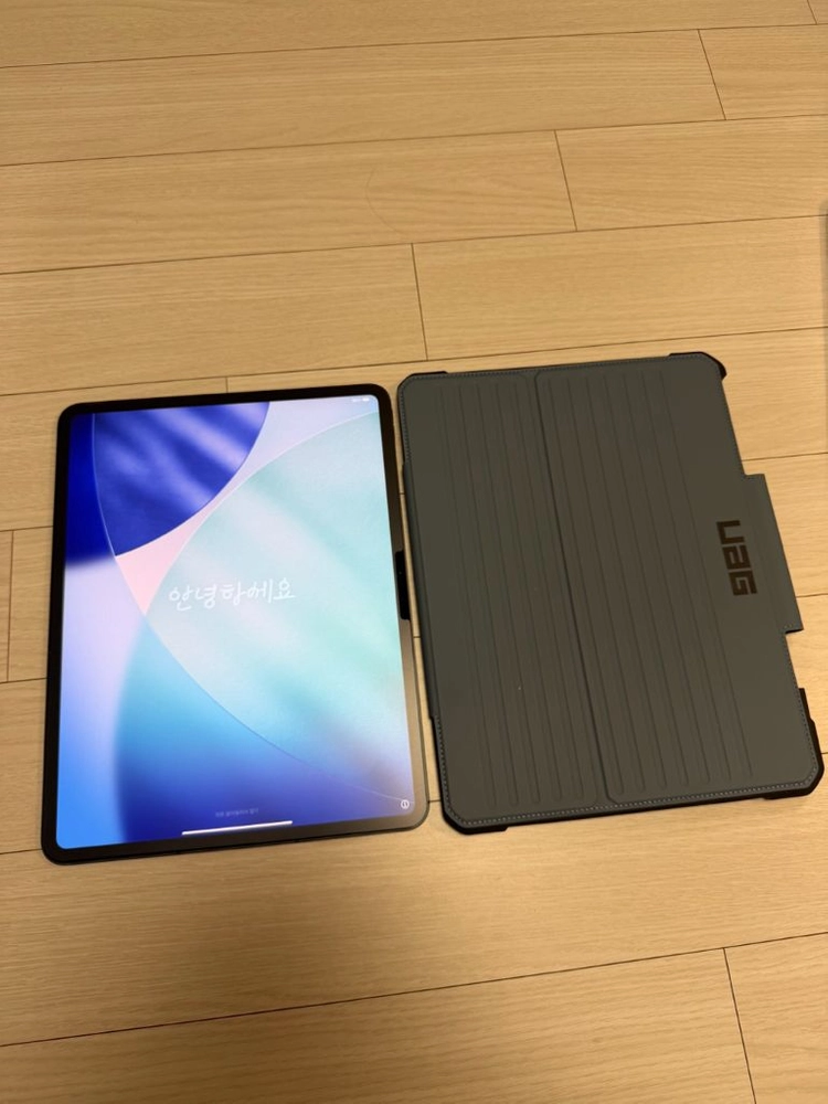 아이패드 프로 7세대 M4 13인치 256gb 셀룰러 스페이스블랙 이미지