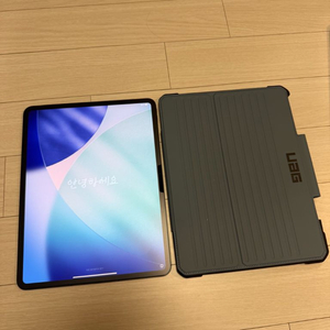 아이패드 프로 7세대 M4 13인치 256gb 셀룰러 스페이스블랙 이미지