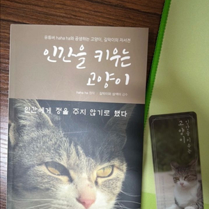 유튜버 haha ha의 인간을 키우는 고양이 + 책갈피 세트 이미지