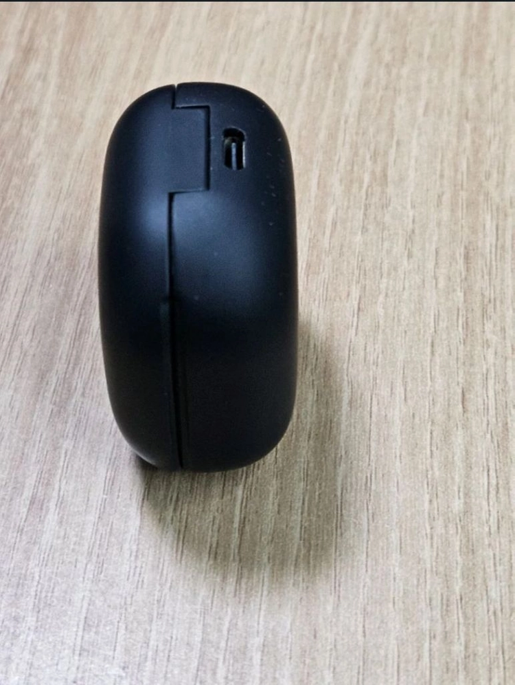 갤럭시 버즈2프로 그라파이트 충전본체 SM-R510 이미지