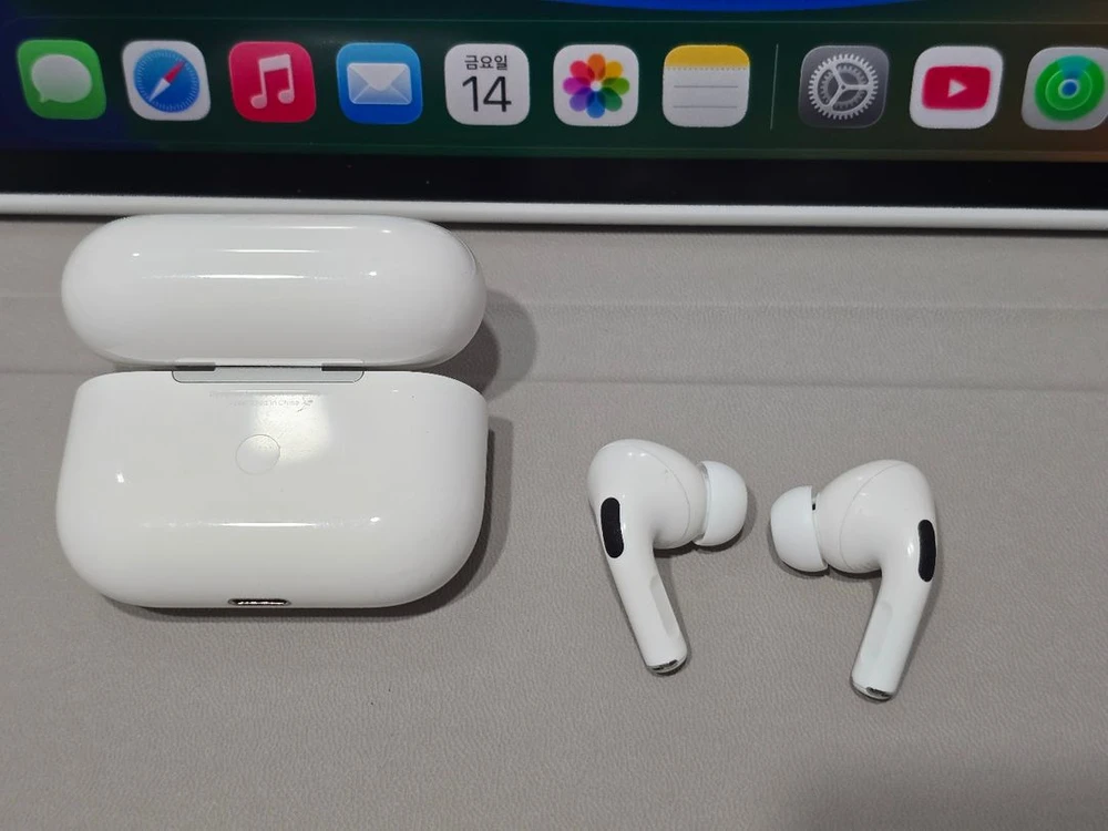 Apple 에어팟 프로 1세대 맥세이프 호환 이미지