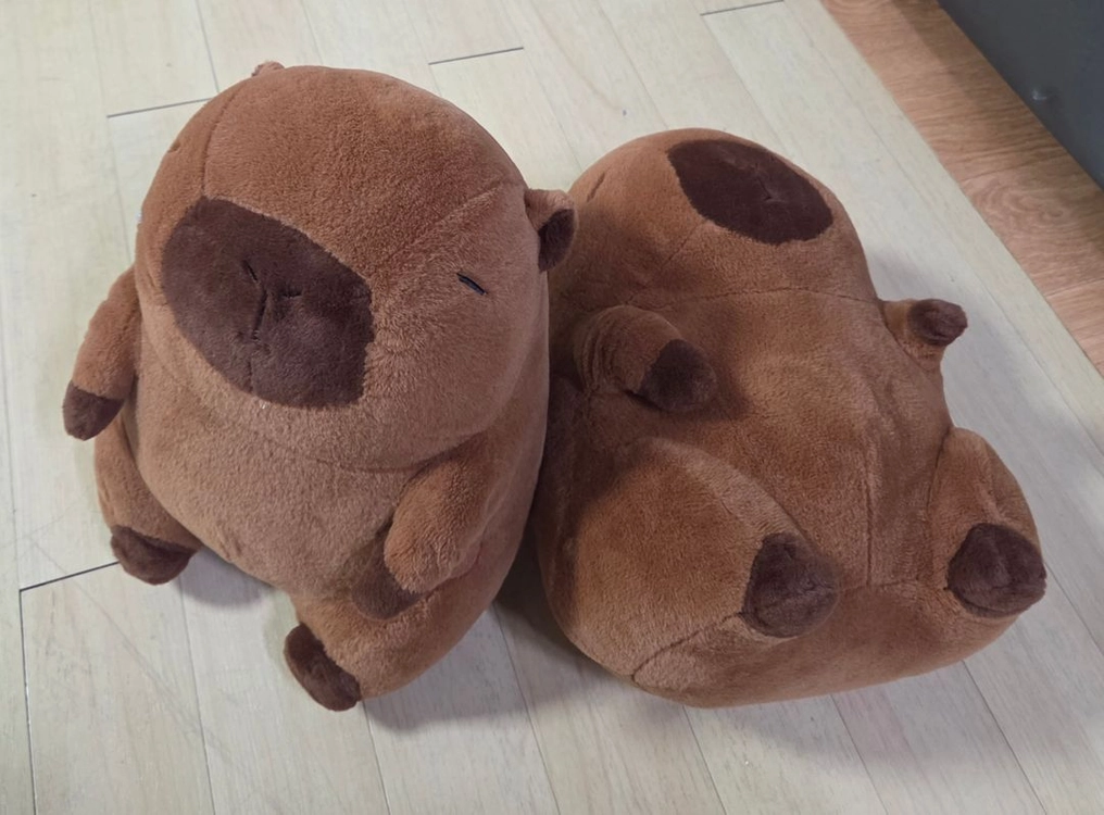 카피바라 인형2개 일괄(반값택배포함) 이미지
