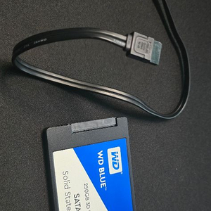 SSD 250GB wd blue SATA 이미지