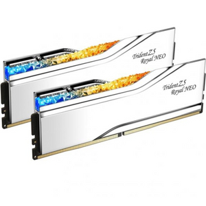 G.SKILL DDR5-7200 CL34 TRIDENT Z5 ROYAL 실버 패키지 (32GB(16Gx2)) 이미지
