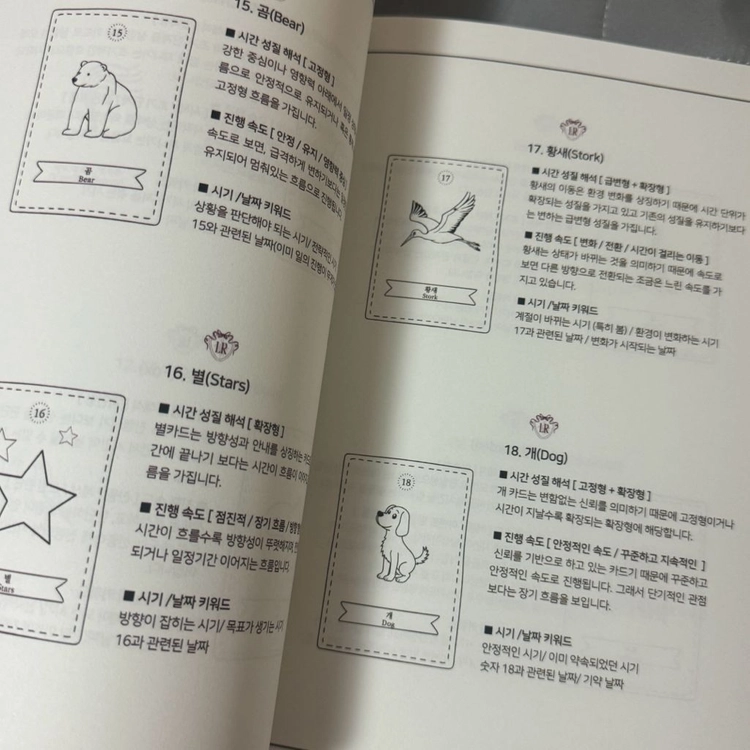 타로카드 서적 /텀블벅 타로 서적 이미지
