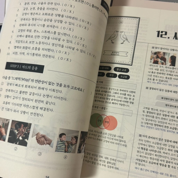 타로카드 서적 /텀블벅 타로 서적 이미지