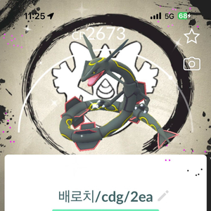 [포켓몬고]이로치+배경 레쿠자 이미지