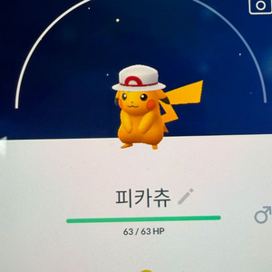 포켓몬고 코스튬 피카츄 이로치 이미지