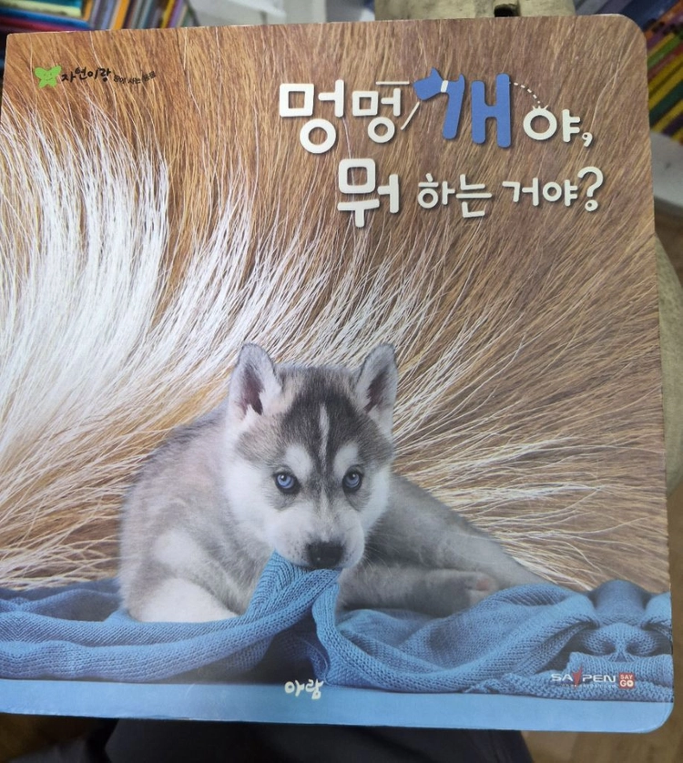 아람 자연이랑 전79권 카드 CD 택포 이미지