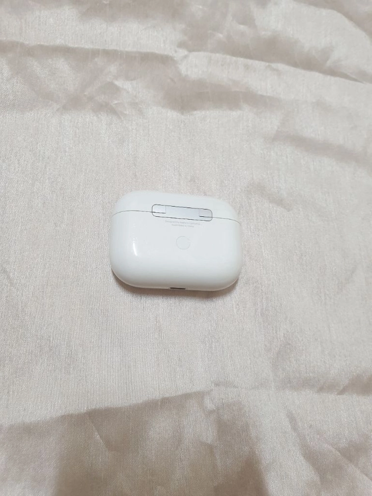 에어팟 프로 1세대 본체 이미지
