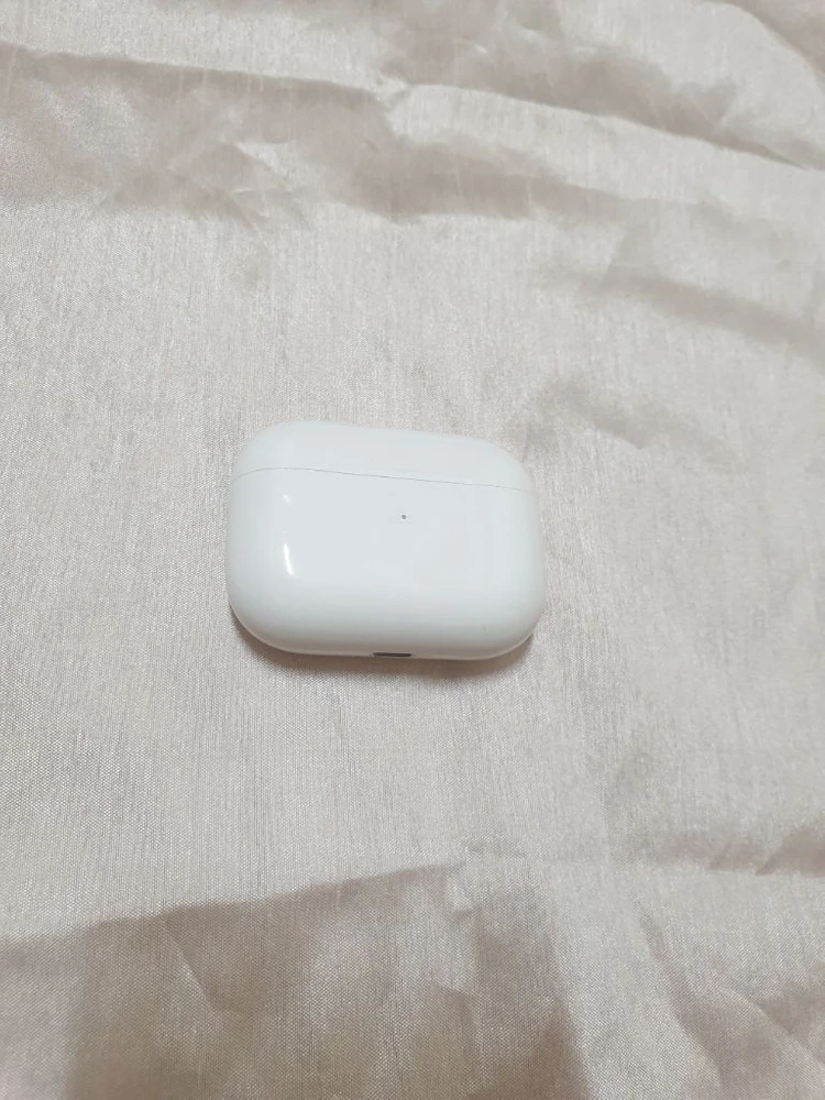 에어팟 프로 1세대 본체 이미지