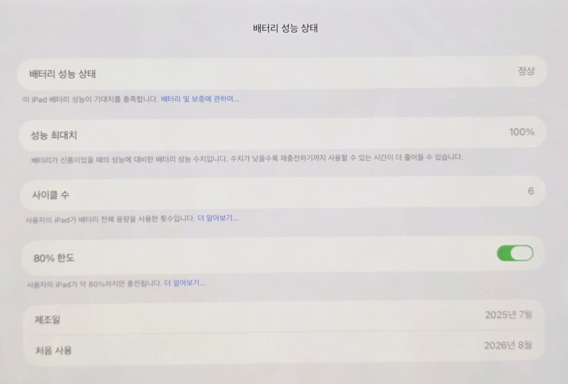 아이패드 프로(M5) 13인치 256기가 이미지