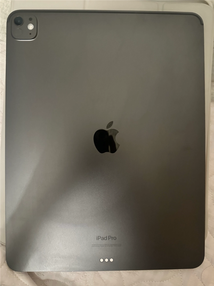 아이패드 프로 13 m4 256GB 최상 이미지