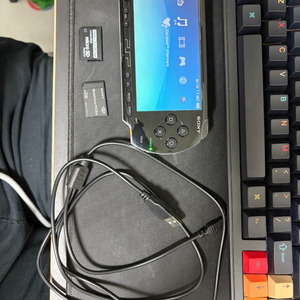 psp-1005, 타이틀 2개 이미지
