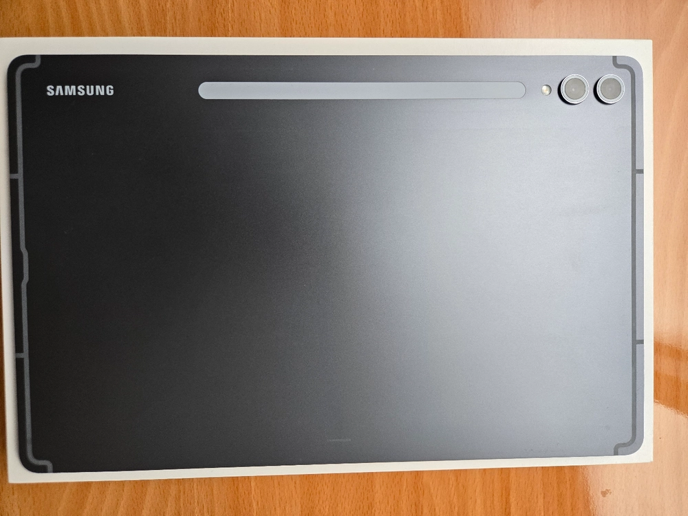 갤럭시탭 S10+ 256G 이미지