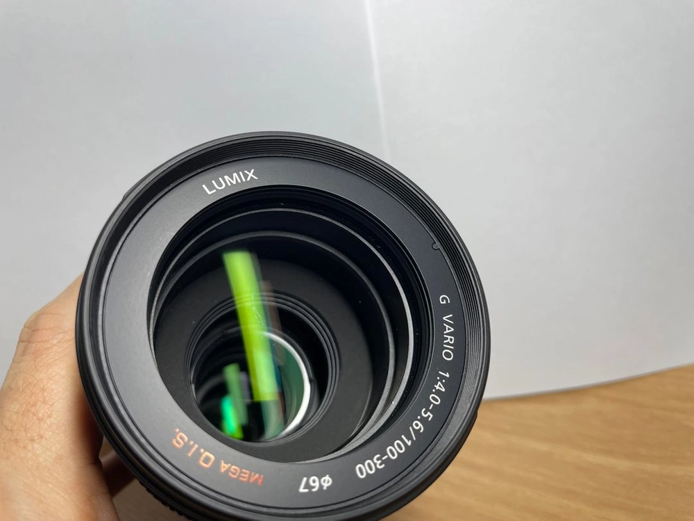 파나소닉 루믹스 LUMIX 100-300mm F4-5.6 MEGA OIS 초망원렌즈 / 1세대 이미지