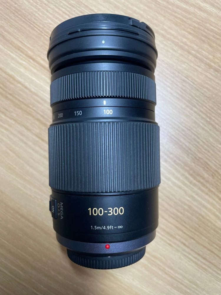 파나소닉 루믹스 LUMIX 100-300mm F4-5.6 MEGA OIS 초망원렌즈 / 1세대 이미지