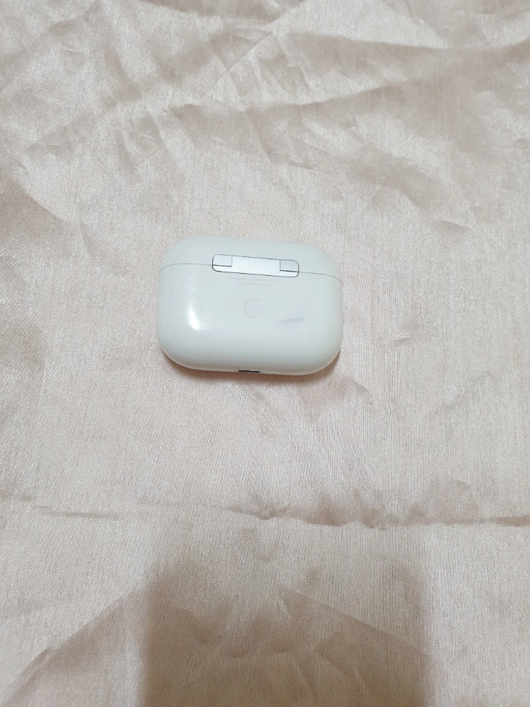 에어팟 프로 1세대 맥세이프 본체 이미지