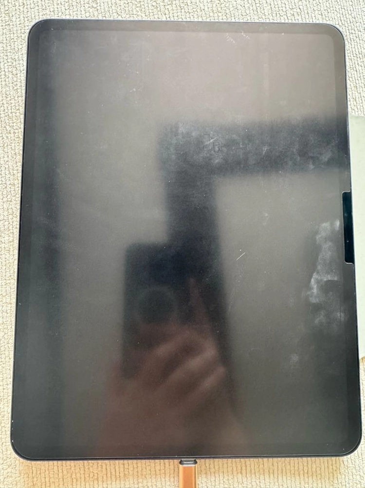 ipad pro m4 1tb 13in wifi 이미지