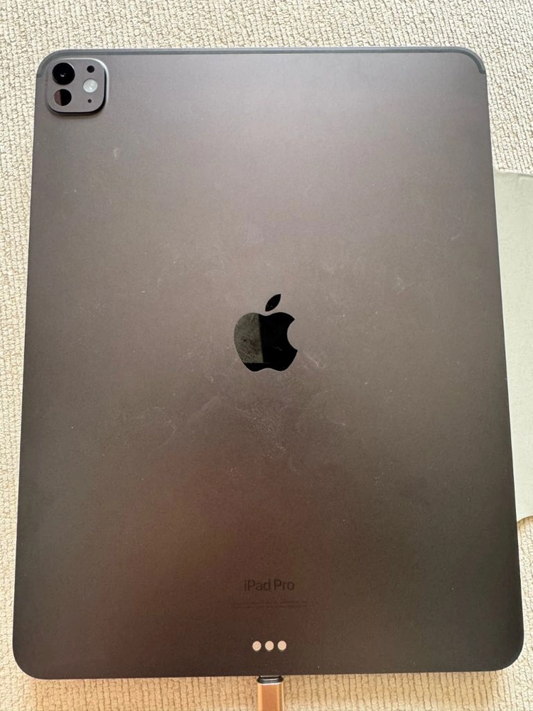 ipad pro m4 1tb 13in wifi 이미지