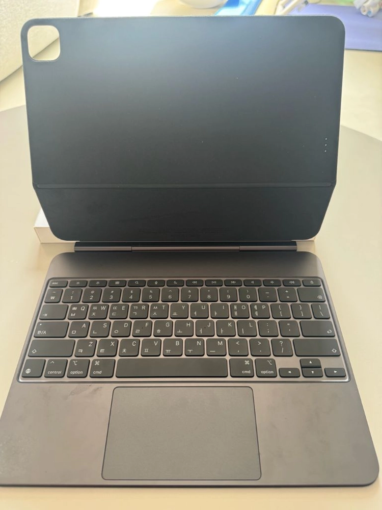 ipad pro m4 1tb 13in wifi 이미지
