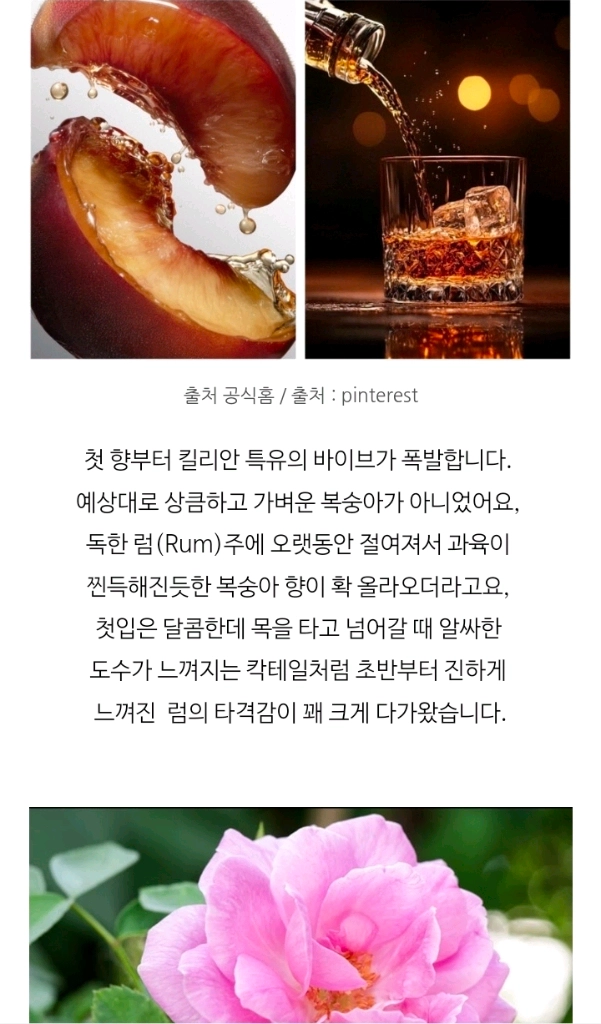급처 신상 킬리안 허 마제스티 오드퍼퓸 50ml 미개봉 새상품 쇼핑백 이미지