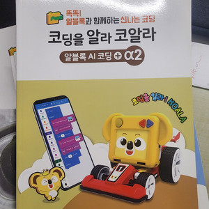 코딩을 알라 코알라_알블로 AI코딩_알파2 이미지
