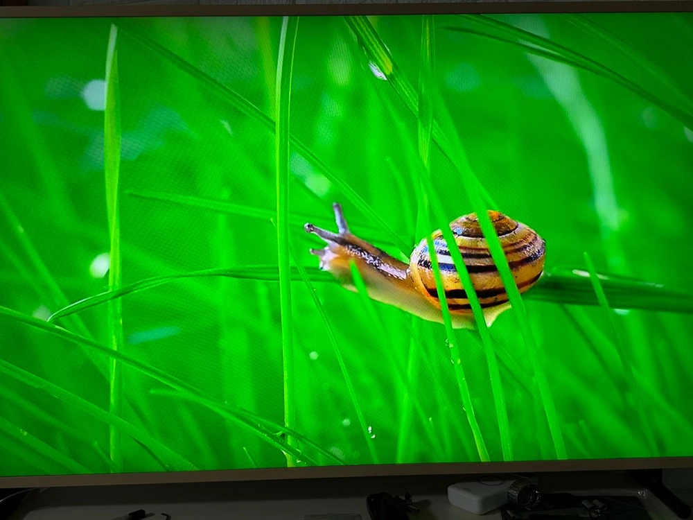 삼성 55인치 QLED TV 더 프레임 (QN55LS03RAFXKR)팝니다. 이미지