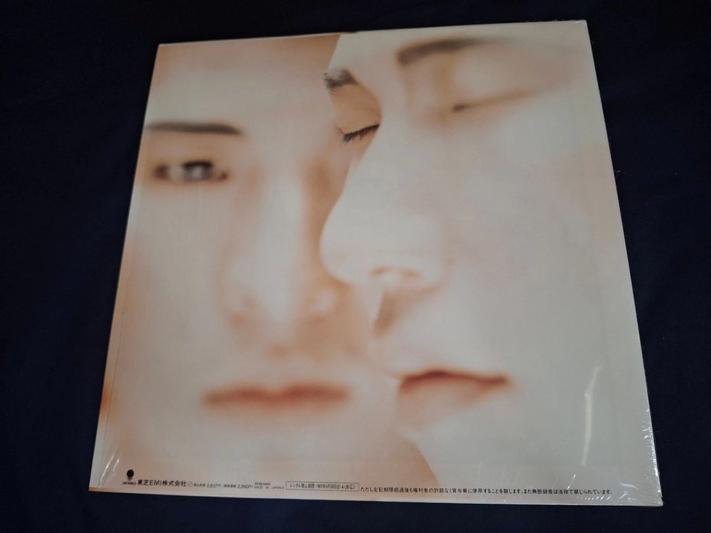 수입 귀한 J-ROCK 명반 엘피 LP 이미지