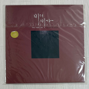 손성제 - 정규 1집 비의 비가 LP 이미지