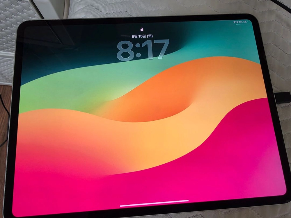 아이패드 프로 M4 13인치 256GB 실버색상 - 안심되는 중고거래