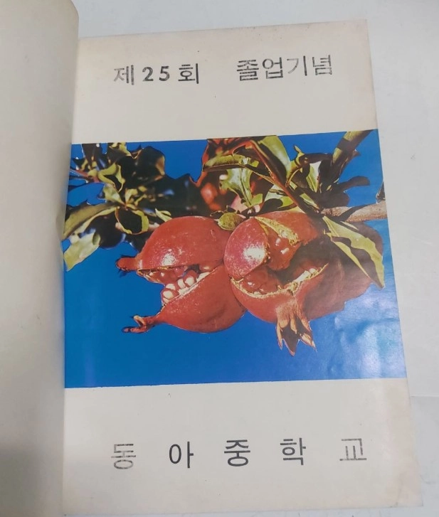 부산지역 졸업앨범 5권 이미지