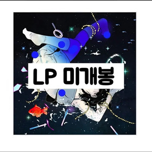 한로로 재발매 LP1+CD2장 이상비행,홈, 일괄 이미지