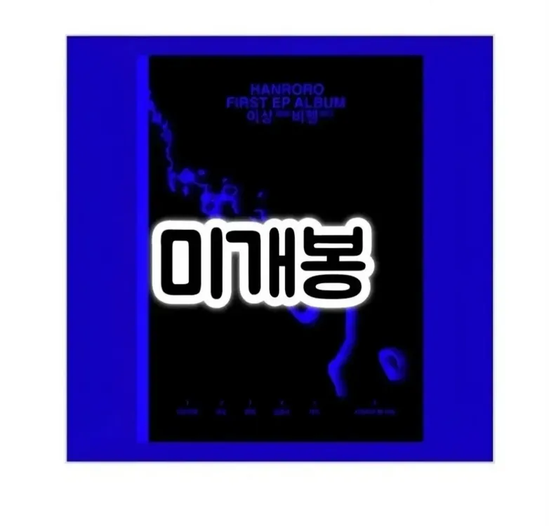 한로로 재발매 LP1+CD2장 이상비행,홈, 일괄 이미지