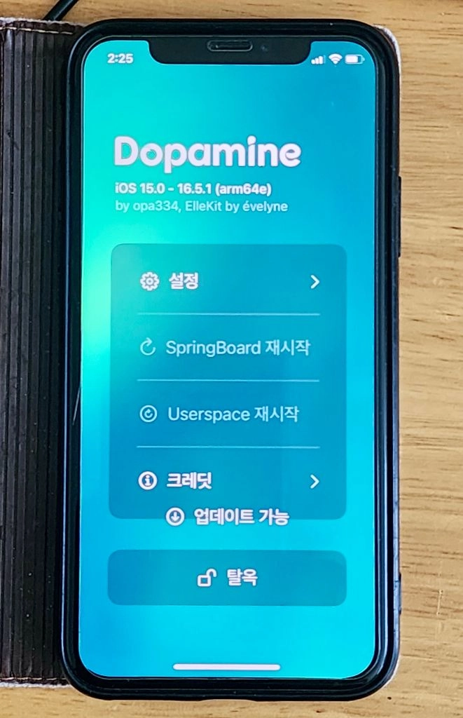 탈옥가능 아이폰 Xs 256GB 골드 이미지