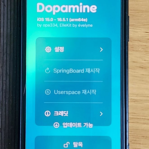 탈옥가능 아이폰 Xs 256GB 골드 이미지