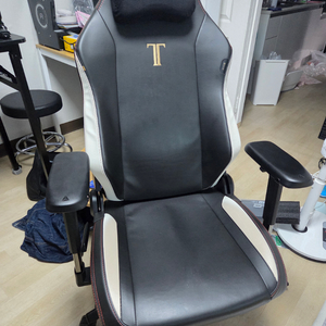 secret lab titan evo 게이밍의자 이미지