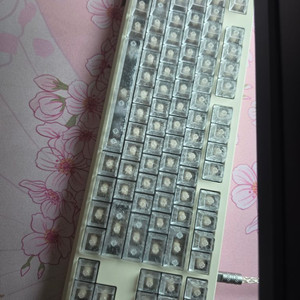 FROG TKL LEGGERA 베어본킷 크림 (L9) 이미지