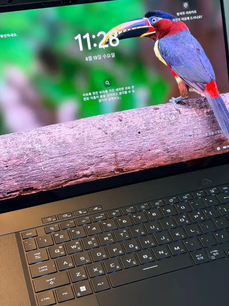 ASUS ROG 제피러스 G16 2024 RTX4070 이미지
