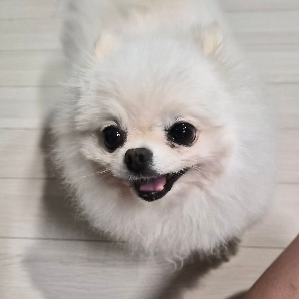 프로필 이미지