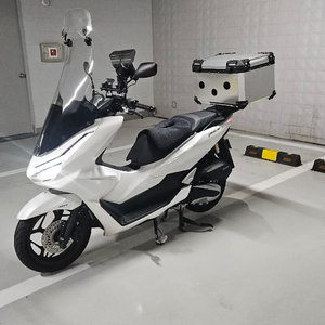 2026년 혼다PCX125 화이트 이미지