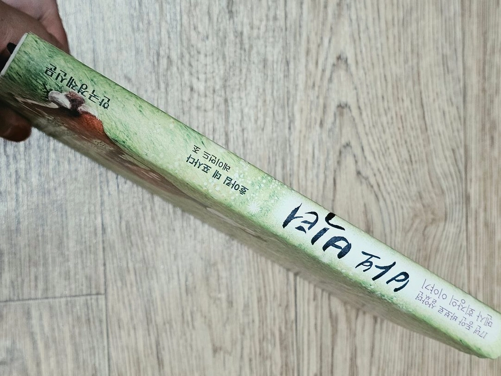 바보 빅터 책 도서 소설 베스트셀러 필수독서 이미지