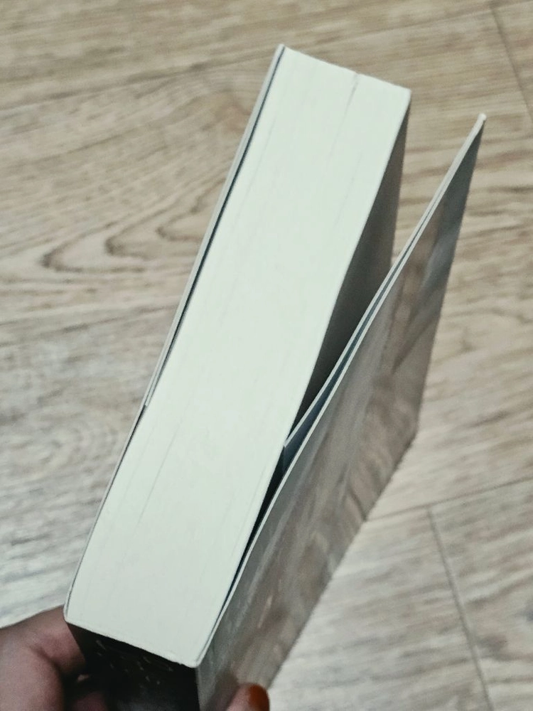 모멘트 책 도서 소설 베스트셀러 필수독서 이미지