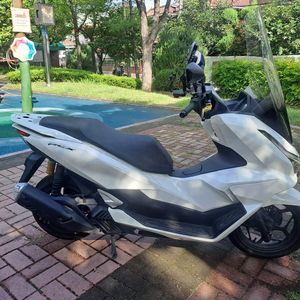 25년식 혼다 PCX125 이미지