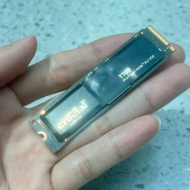 A급 마이크론 T700 Gen5 4테라 Crucial M.2 NVMe SSD 4TB (3/3) 이미지