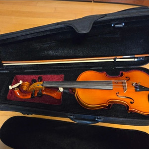 ProStrings 4/4 PM 3 바이올린 풀세트. 입문용, 초보용. 조율, 점검완료. 49. 이미지