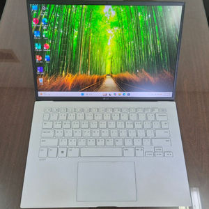 LG그램 노트북 14ZD90Q, i5 12세대, 16/256G