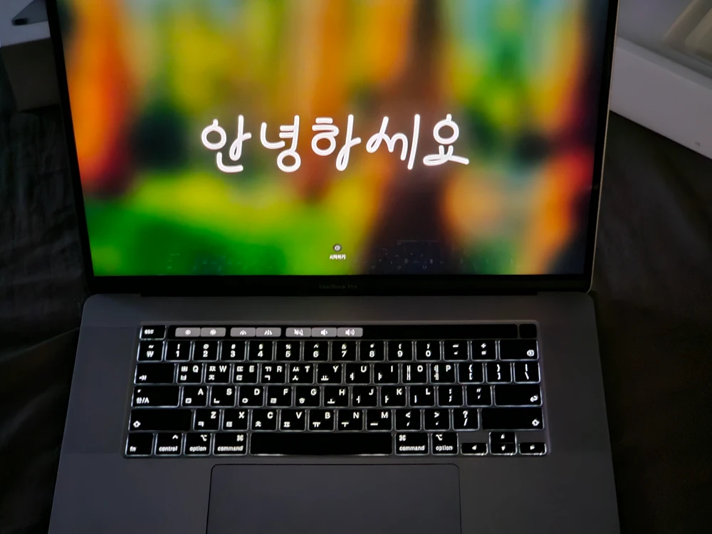 2019 맥북 프로 16인치 인텔 i9 16GB 1테라 실버 풀박스 - 안심되는 중고거래