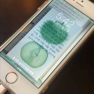 아이폰 se1 실버 이미지